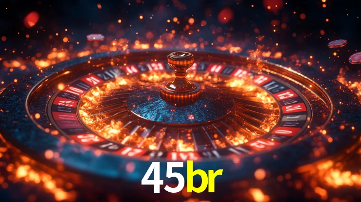 45br App Interface